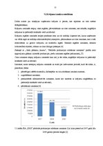 Prakses atskaite 'Prakses atskaite SIA "XXX"', 22.