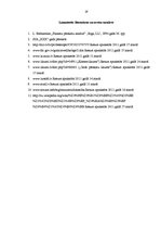 Prakses atskaite 'Prakses atskaite SIA "XXX"', 28.