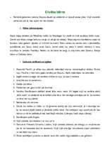 Konspekts 'Klīdzējs "Cilvēka bērns" ', 1.