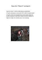 Eseja 'Uzņēmēja Ilze Stabulniece', 3.