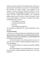 Referāts 'Pārkāpumi muitas jomā,kontrabanda', 3.