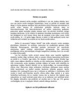 Referāts 'Analyse der Besonderheiten der Fachsprache anhand der Fachtexte aus dem Bereich ', 33.