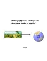 Referāts 'Mārketinga pētījums par SIA "X" produkta eksportēšanas iespējām uz Malaiziju', 1.