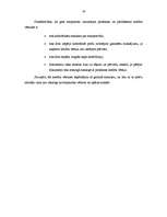 Referāts 'Mārketinga pētījums par SIA "X" produkta eksportēšanas iespējām uz Malaiziju', 18.