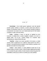 Referāts 'Mārketinga pētījums par SIA "X" produkta eksportēšanas iespējām uz Malaiziju', 34.