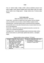 Konspekts 'Kluba X attīstības stratēģija', 2.