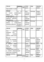 Konspekts 'Kluba X attīstības stratēģija', 5.