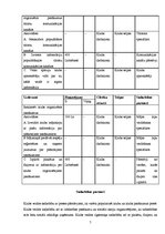 Konspekts 'Kluba X attīstības stratēģija', 7.