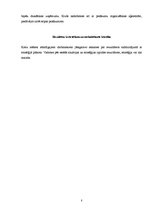 Konspekts 'Kluba X attīstības stratēģija', 8.