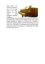 Referāts 'Mūzikas terapija', 4.