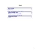 Referāts 'Gadījuma apraksts konflikta situācijai', 2.