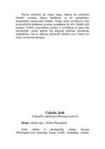 Referāts 'Ārstnieciskie augi', 19.