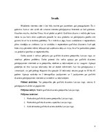 Referāts 'Grafiskā dizainera pieejamība Latvijas tirgū', 4.