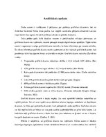 Referāts 'Grafiskā dizainera pieejamība Latvijas tirgū', 5.