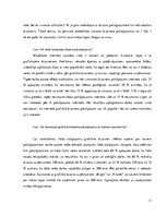 Referāts 'Grafiskā dizainera pieejamība Latvijas tirgū', 11.