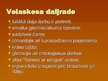 Prezentācija 'Djego Velaskess', 3.