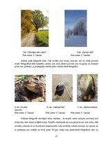 Referāts 'Fotogrāfijas kā vizuālās komunikācijas līdzekļa attīstība un izteiksmes iespējas', 27.