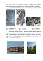 Referāts 'Fotogrāfijas kā vizuālās komunikācijas līdzekļa attīstība un izteiksmes iespējas', 28.