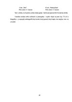 Referāts 'Fotogrāfijas kā vizuālās komunikācijas līdzekļa attīstība un izteiksmes iespējas', 29.