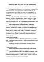 Referāts 'Atmosfēras piesārņojums', 3.