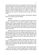 Referāts 'Sadarbības prasmju attīstība bērnu futbola sekcijā', 34.