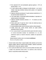Referāts 'VAS "Latvijas dzelzceļš" saimnieciskās darbības analīze', 33.