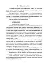 Referāts 'Sejas ādas tipi, tās īpatnības, pielietojamie kosmētiskie līdzekļi', 6.