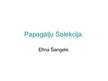 Prezentācija 'Papagaiļi', 1.