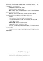 Referāts 'Matiasa Nellkes kreativitātes metodes skolēnu radošuma attīstīšanai mājturības s', 4.