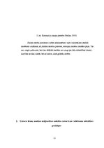 Referāts 'Matiasa Nellkes kreativitātes metodes skolēnu radošuma attīstīšanai mājturības s', 21.