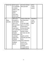 Referāts 'Matiasa Nellkes kreativitātes metodes skolēnu radošuma attīstīšanai mājturības s', 25.