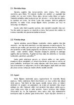 Referāts 'Apģērbs, kosmētika un mode seno austrumu civilizācijās', 7.