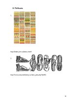 Referāts 'Apģērbs, kosmētika un mode seno austrumu civilizācijās', 18.