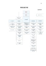 Prakses atskaite 'Prakses atskaite DnB Nord bankā', 21.