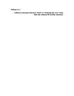 Referāts 'Ministru prezidenta Andra Šķēles tēla un Ministru kabineta darbības atspoguļojum', 20.