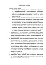 Referāts 'Ekonomiski matemātiskās modelēšanas pielietojums ekonomisko sistēmu un procesu p', 11.