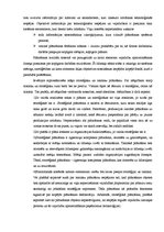 Referāts 'Ekonomiski matemātiskās modelēšanas pielietojums ekonomisko sistēmu un procesu p', 13.