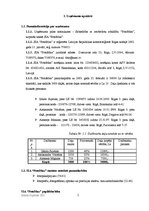 Biznesa plāns 'SIA "FotoMax"', 5.