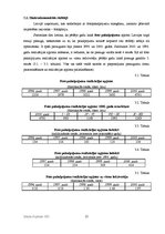 Biznesa plāns 'SIA "FotoMax"', 15.