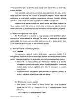 Biznesa plāns 'SIA "FotoMax"', 21.