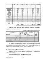 Biznesa plāns 'SIA "FotoMax"', 27.