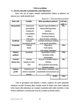 Biznesa plāns 'SIA "FotoMax"', 32.