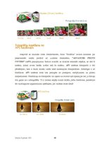 Biznesa plāns 'SIA "FotoMax"', 68.