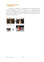 Biznesa plāns 'SIA "FotoMax"', 70.