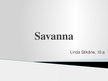 Prezentācija 'Savannas bioma', 1.