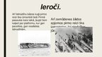 Prezentācija 'Pirmais pasaules karš', 6.