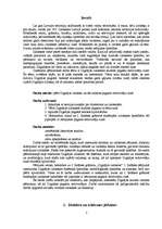 Referāts 'Dignājas izloksnes iezīmes pagasta iedzīvotāju runā', 3.