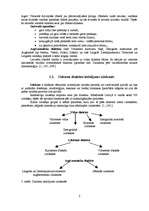 Referāts 'Dignājas izloksnes iezīmes pagasta iedzīvotāju runā', 5.