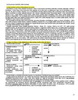 Konspekts 'Starptautiskā un globālā komunikācija - eksāmena biļetes', 13.