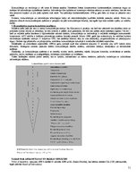 Konspekts 'Starptautiskā un globālā komunikācija - eksāmena biļetes', 51.